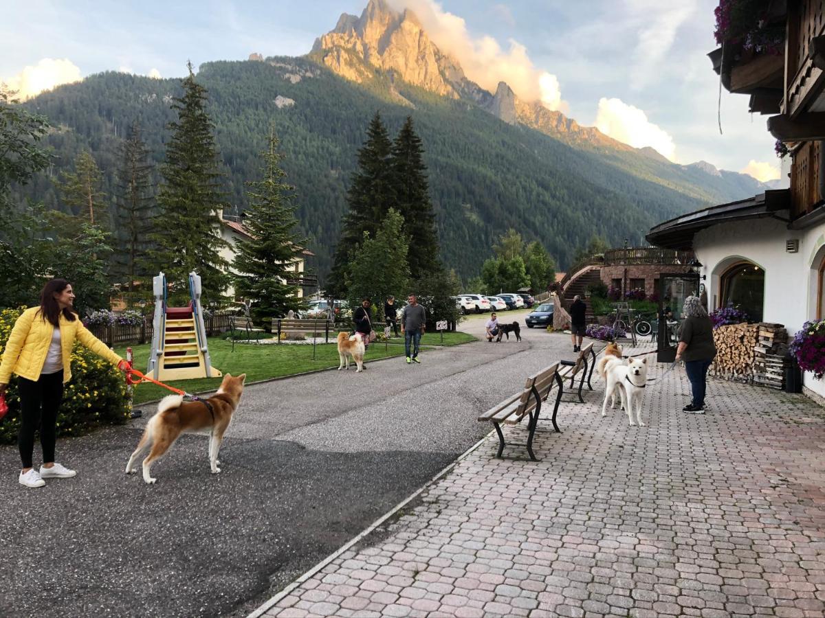 Alpine Touring Hotel-Petfriendly Поца ди Фаса Екстериор снимка